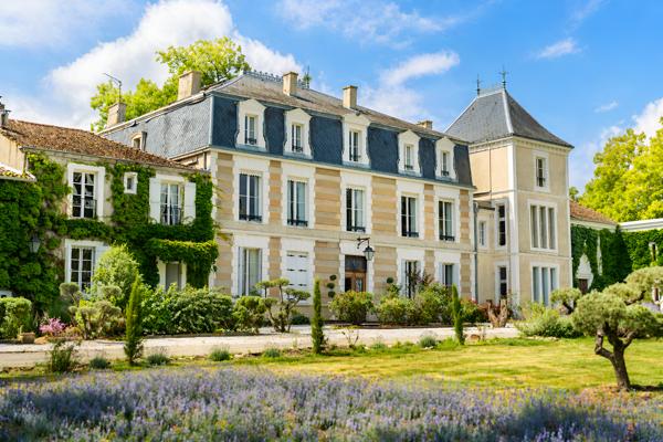 Vente Château Carcassonne 50 Pièces 1700 m²