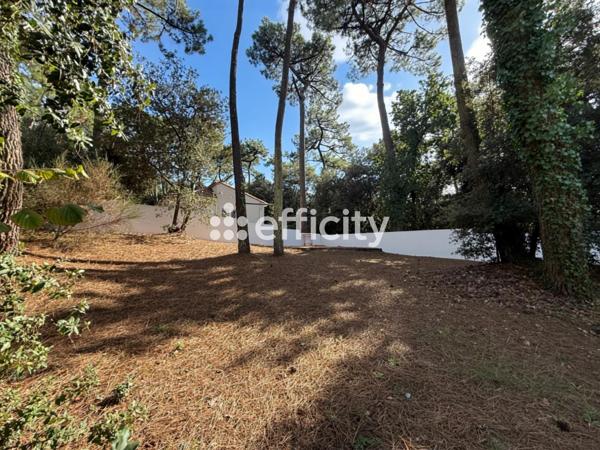 Maison 4 pièces - 115 m²