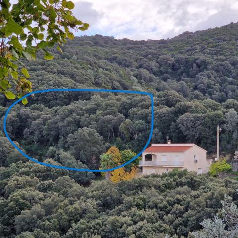 Proche Sartene  à vendre terrain de 2032 m2