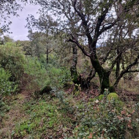 Proche Sartene  à vendre terrain de 2032 m2