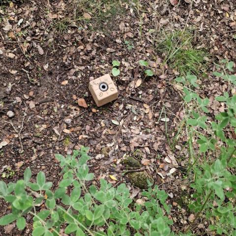 Proche Sartene  à vendre terrain de 2032 m2