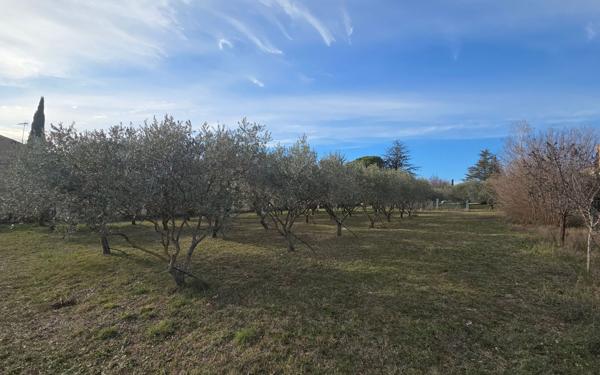 Terrain à vendre    Pierrevert