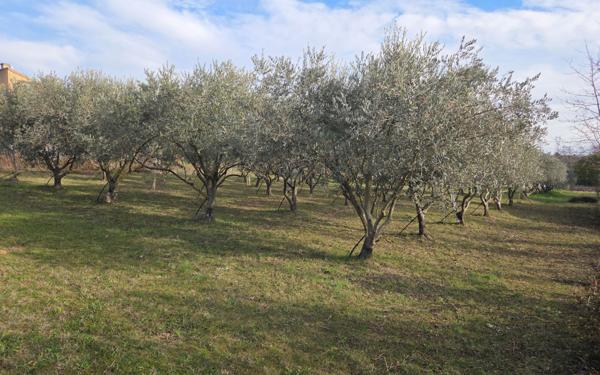 Terrain à vendre    Pierrevert
