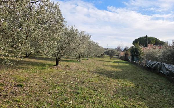 Terrain à vendre    Pierrevert