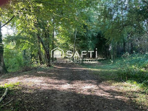 Domaine, 2 maisons, piscine, parc, box à chevaux