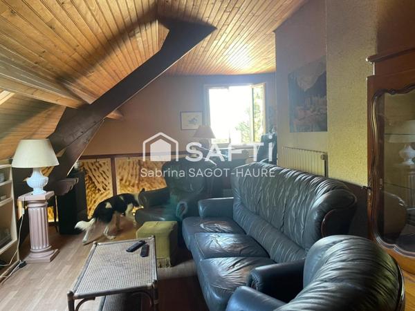 Domaine, 2 maisons, piscine, parc, box à chevaux