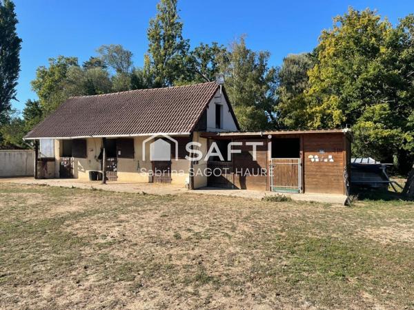 Domaine, 2 maisons, piscine, parc, box à chevaux