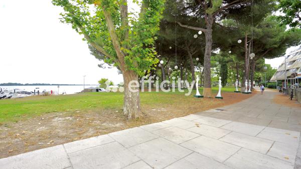 Appartement 1 pièce - 31 m² Exclusivité efficity