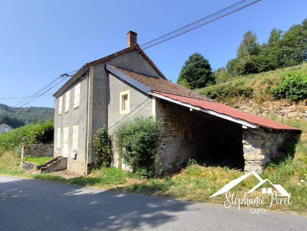 Charme de la pierre et douceur de vivre à Clairavaux – une maison authentique au cœur de la nature !