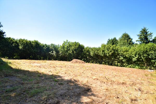 Terrain 946 m2