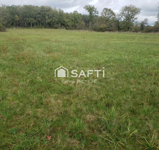 terrain plat constructible