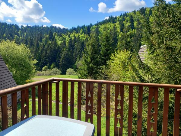 Chalet individuel avec terrasse