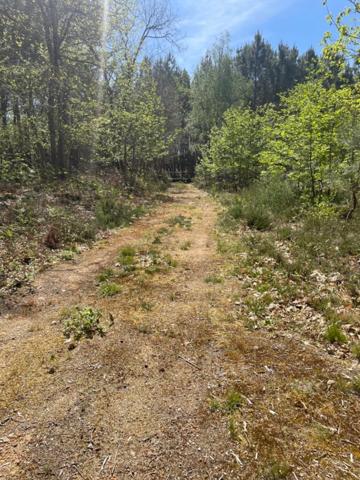 Terrain de loisir MEZERAY (72)