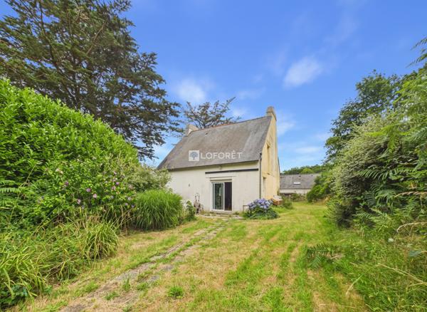 None