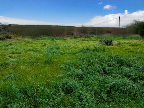 Terrain à vendre LAUMESFELD (57)