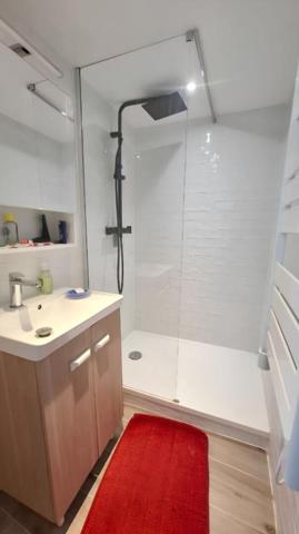 Grand studio Marais 27 m2 Paris 4e