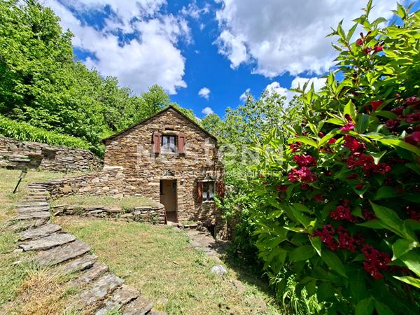 Maison d'Exception à Ventalon en Cévennes - Vue Panoramique, Calme Absolu