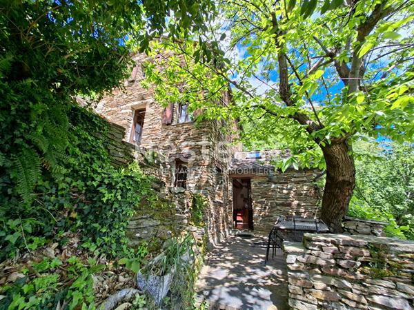 Maison d'Exception à Ventalon en Cévennes - Vue Panoramique, Calme Absolu