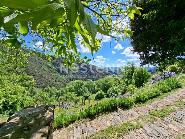 Maison d'Exception à Ventalon en Cévennes - Vue Panoramique, Calme Absolu