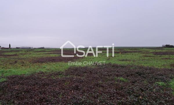 Terrain constructible