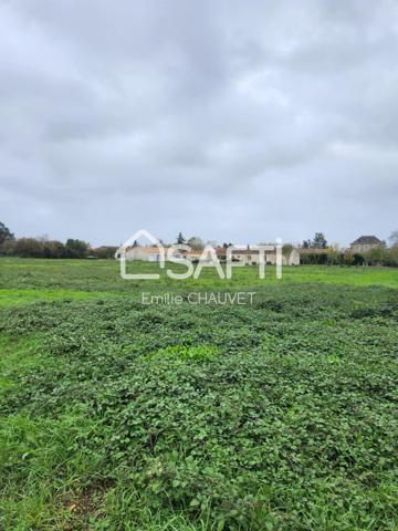 Terrain constructible