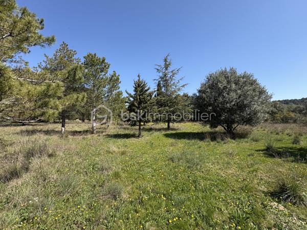 Maison provencale de 180 m²