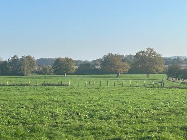 Corps de ferme à LA FERTE BERNARD (72400)