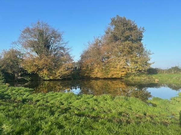 Corps de ferme à LA FERTE BERNARD (72400)