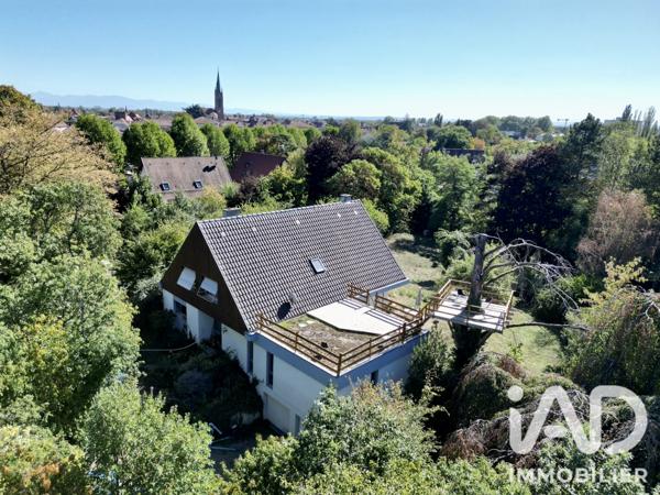 Maison à vendre 9 pièces 230 m² Cernay