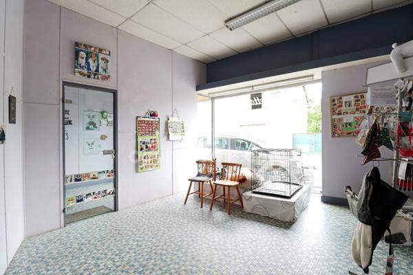 RARE - Maison 200 m² - 7 Pièces - 5 chambres + Local Commercial 65 m² + Hangar 135 m² - BELLAC 87