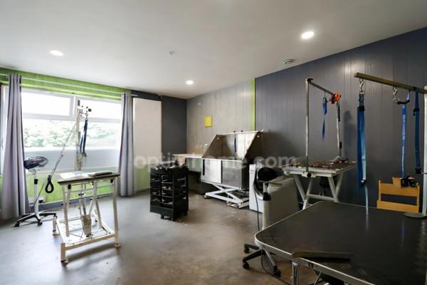 RARE - Maison 200 m² - 7 Pièces - 5 chambres + Local Commercial 65 m² + Hangar 135 m² - BELLAC 87