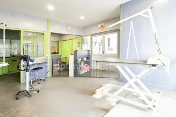 RARE - Maison 200 m² - 7 Pièces - 5 chambres + Local Commercial 65 m² + Hangar 135 m² - BELLAC 87