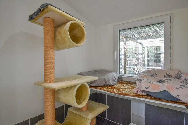 Maison rénovée de 4 chambres avec chatterie professionnelle