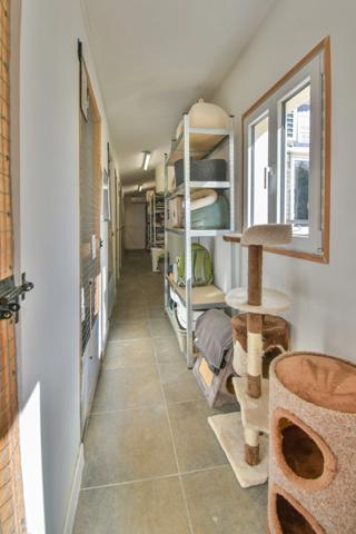 Maison rénovée de 4 chambres avec chatterie professionnelle