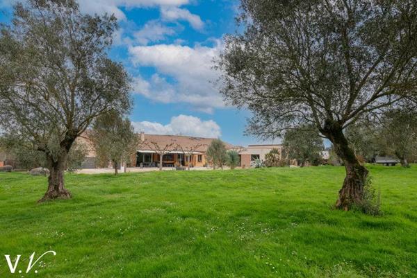 Maison à vendre 799 000 € Saint-Orens-de-Gameville 6 p 260 m² DPE B