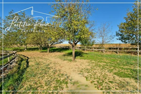 Demeure d’exception en pierre,370 m², Piscine, Pool house, Dépendances, Parc 3 ha avec lac À 25 min d’Agen