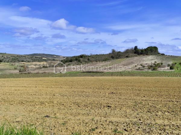 Terrain de 10 175 m²