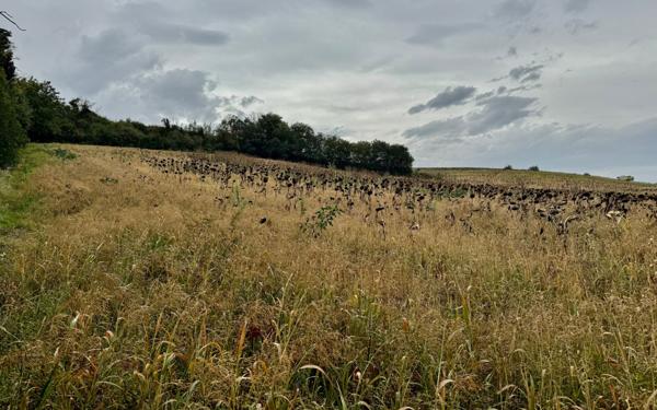 Maison à vendre    7 pièces • 208,71 m2 Deyme