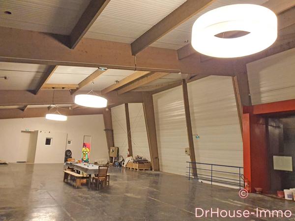 Immeuble à vendre 10 pièces de 1 000 m²