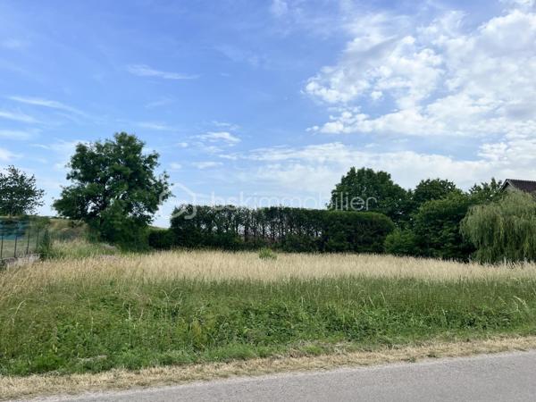 Venez découvrir ce grand terrain à bâtir de 1745 m² situé aux abords de Courtempierre. Niché dans un environnement paisible, il offre un cadre de vie serein, idéal pour ceux en quête de tranquillité.

Ce terrain vous ouvre de multiples possibilités de construction, vous permettant de concevoir la maison de vos rêves. Imaginez un espace de vie harmonieux, où chaque pièce pourrait être baignée de lumière naturelle dans un cadre intime
Profitez d’un accès facilité pour toutes vos activités quotidiennes, sans compromettre le calme qui règne ici. Venez découvrir ce lieu où projeter vos futurs rêves d'habitat. 

Contactez Jean-Philippe Mary pour plus d'informations. Votre future vie sereine vous attend à Courtempierre.