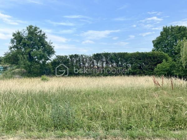 Venez découvrir ce grand terrain à bâtir de 1745 m² situé aux abords de Courtempierre. Niché dans un environnement paisible, il offre un cadre de vie serein, idéal pour ceux en quête de tranquillité.

Ce terrain vous ouvre de multiples possibilités de construction, vous permettant de concevoir la maison de vos rêves. Imaginez un espace de vie harmonieux, où chaque pièce pourrait être baignée de lumière naturelle dans un cadre intime
Profitez d’un accès facilité pour toutes vos activités quotidiennes, sans compromettre le calme qui règne ici. Venez découvrir ce lieu où projeter vos futurs rêves d'habitat. 

Contactez Jean-Philippe Mary pour plus d'informations. Votre future vie sereine vous attend à Courtempierre.