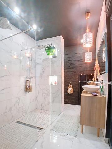 Magnifique maison avec local professionnel attenant