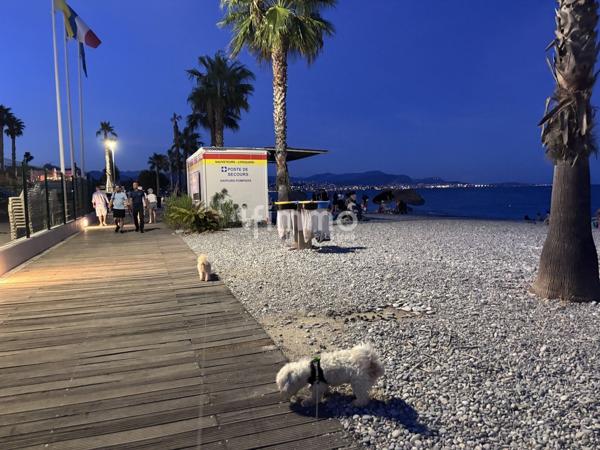 comme une maison ... avec son jardin au calme à Villeneuve-Loubet