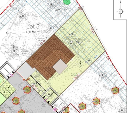 Projet de Construction