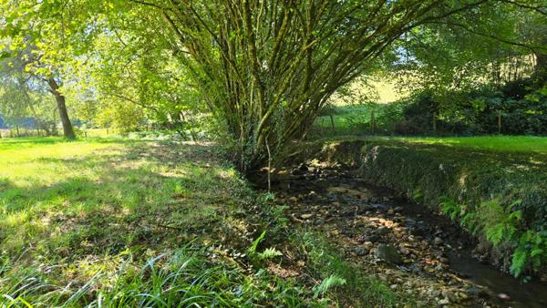 PAVILLON 5 P + GRANGE + PISCINE + RUISSEAU - CHARME CAMPAGNE