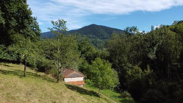 Grange rénovée au coeur des Pyrénées