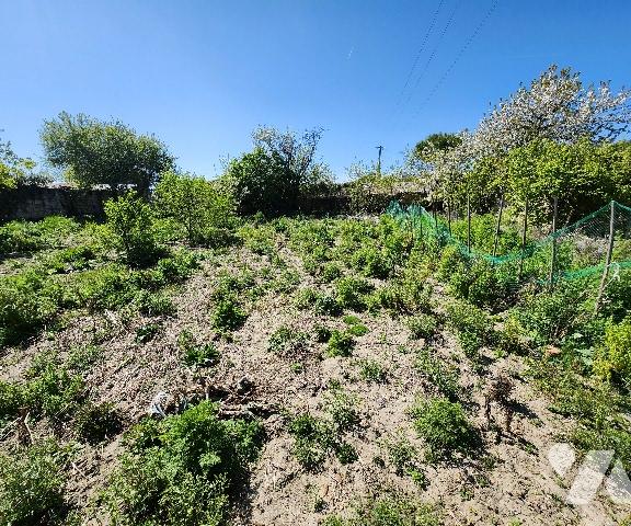 Sur Saint Cyr en Bourg, grande maison en tuffeau,230m² à rénover, sur un terrain de 2 600m².