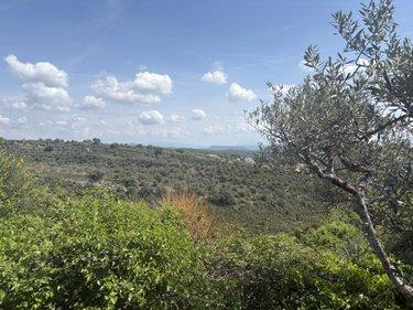 Maison à vendre à Forcalquier dans les Alpes-de-Haute-Provence (04300), ref : 04022-131