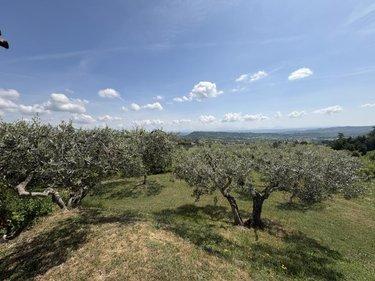 Maison à vendre à Forcalquier dans les Alpes-de-Haute-Provence (04300), ref : 04022-131