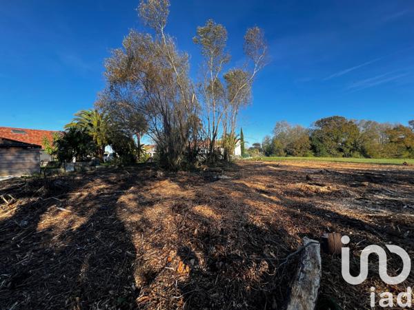 Land for sale 500 m² Arcangues